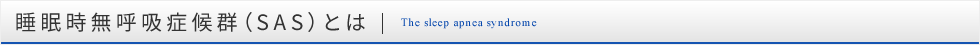 睡眠時無呼吸症候群（SAS）とは The sleep apnea syndrome